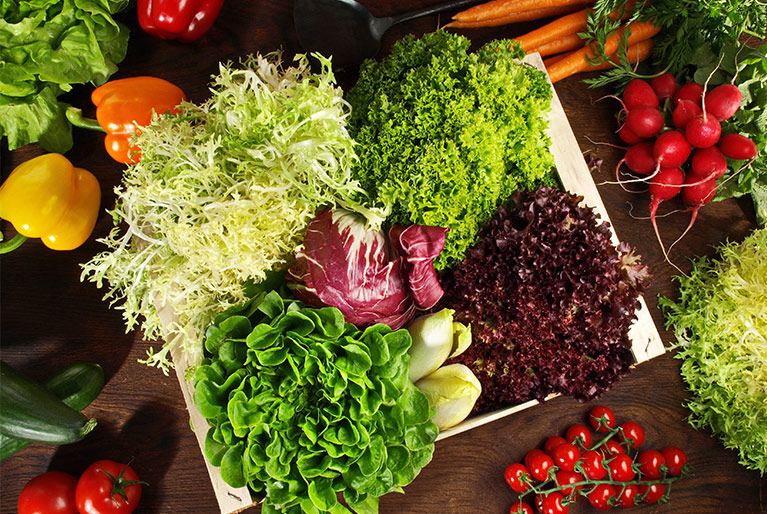Alles ueber Salat