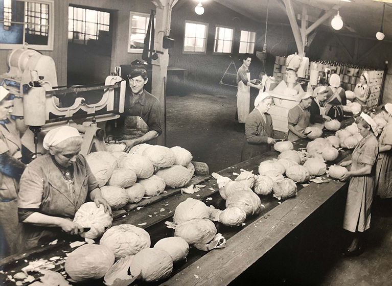 Historische Sauerkraut-Produktion