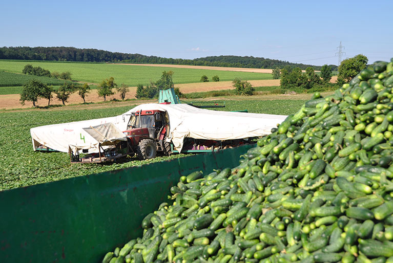 Regionale Landwirtschaft